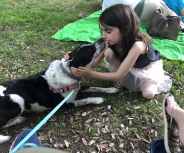 Shabbat in the Park