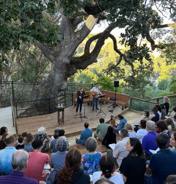 oak tree shabbat